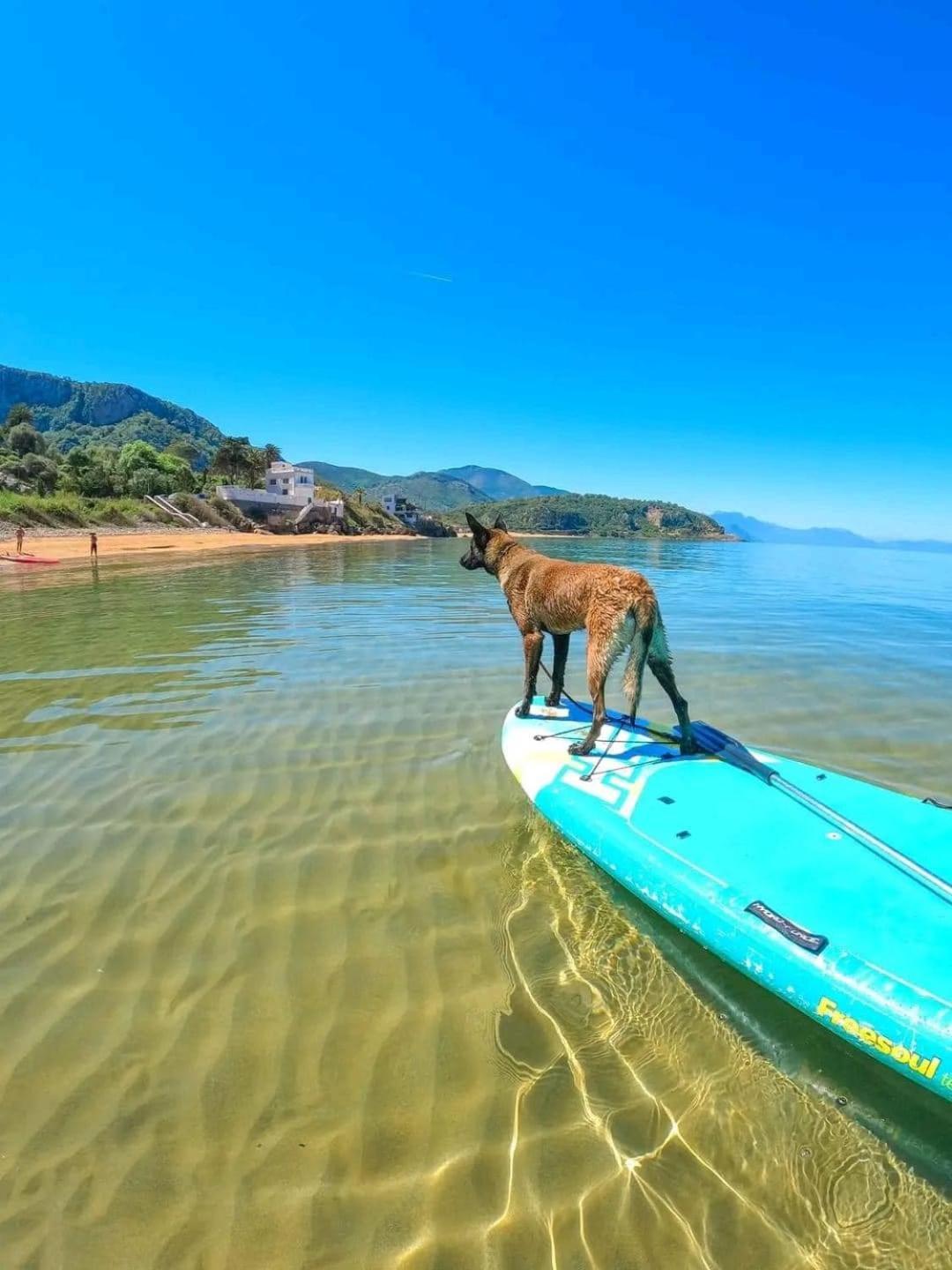 Hotel Plage D'Or Jijel Bagian luar foto